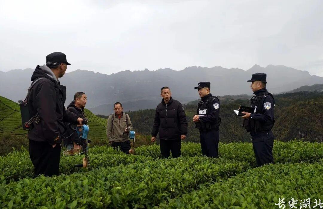 一抹藏青蓝 绘出“枫警”镇 ——恩施州鹤峰县公安局走马派出所践行新时代“枫桥经验”